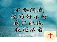 邢台鑫群机械制造厂