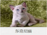 邢台鑫群机械制造厂