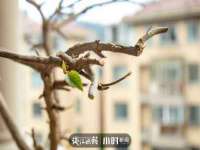 邢台鑫群机械制造厂